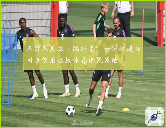 虎扑网页版上线指南：如何快速访问与使用这款体育迷聚集地