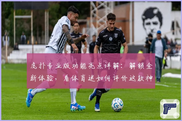 虎扑专业版功能亮点详解：解锁全新体验，看体育迷如何评价这款神器